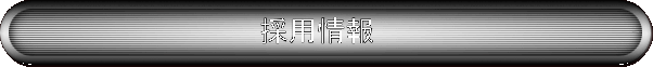 �̗p���