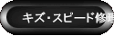 �L�Y�E�X�s�[�h�C��